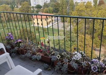3+ bedroom apartment for Sale in Bologna